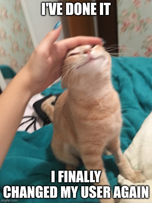 cat pat | I'VE DONE IT; I FINALLY CHANGED MY USER AGAIN | image tagged in cat pat | made w/ Imgflip meme maker