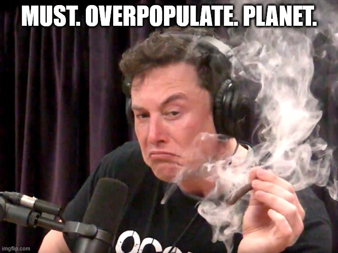 Elon Musk Weed | MUST. OVERPOPULATE. PLANET. | image tagged in elon musk weed | made w/ Imgflip meme maker