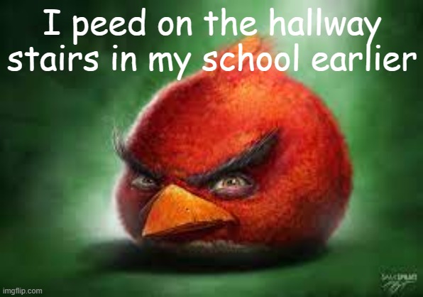 It left a puddle and no-one else knows who did it =) | I peed on the hallway stairs in my school earlier | image tagged in realistic red angry birds | made w/ Imgflip meme maker