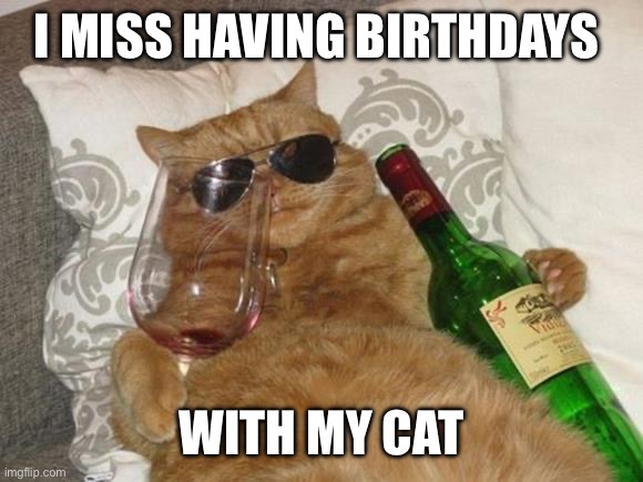 Funny Cat Birthday | I MISS HAVING BIRTHDAYS; WITH MY CAT | image tagged in funny cat birthday | made w/ Imgflip meme maker