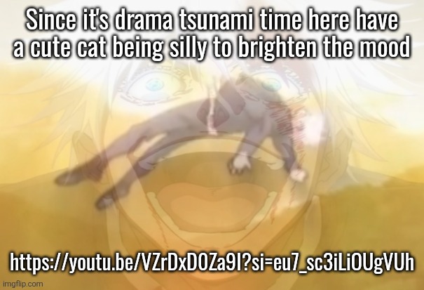 Mf on drugs fr | Since it's drama tsunami time here have a cute cat being silly to brighten the mood; https://youtu.be/VZrDxD0Za9I?si=eu7_sc3iLiOUgVUh | image tagged in mf on drugs fr | made w/ Imgflip meme maker