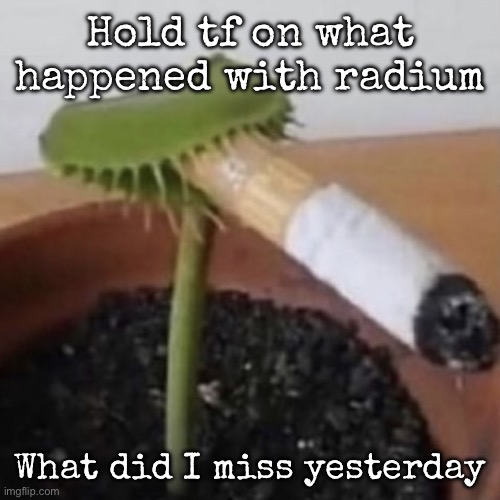 plant weeds | Hold tf on what happened with radium; What did I miss yesterday | image tagged in plant weeds,msmg | made w/ Imgflip meme maker