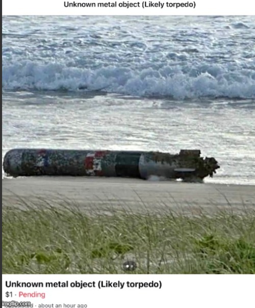 torpedo | image tagged in torpedo | made w/ Imgflip meme maker