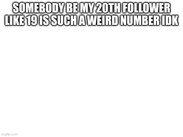 SOMEBODY BE MY 20TH FOLLOWER LIKE 19 IS SUCH A WEIRD NUMBER IDK | made w/ Imgflip meme maker