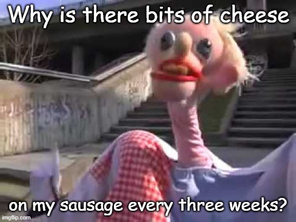 Ratafak Plachta | Why is there bits of cheese; on my sausage every three weeks? | image tagged in ratafak plachta | made w/ Imgflip meme maker