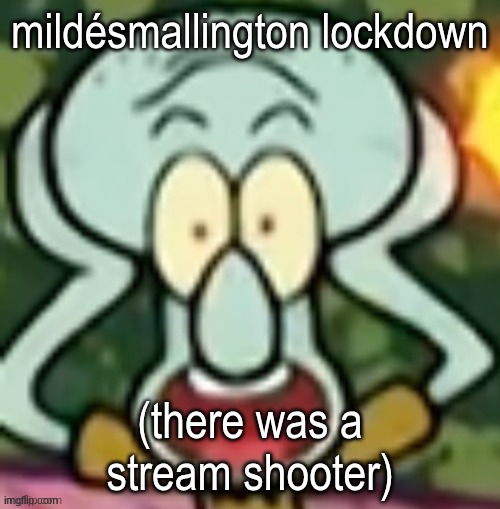 wtde ass post | mildésmallington lockdown; (there was a stream shooter) | image tagged in flabbergasted squidward | made w/ Imgflip meme maker