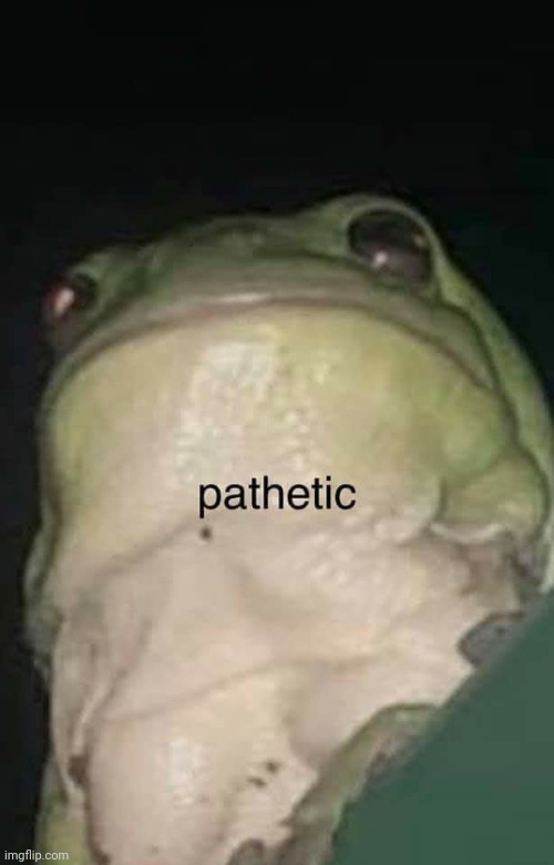 image tagged in frog | made w/ Imgflip meme maker
