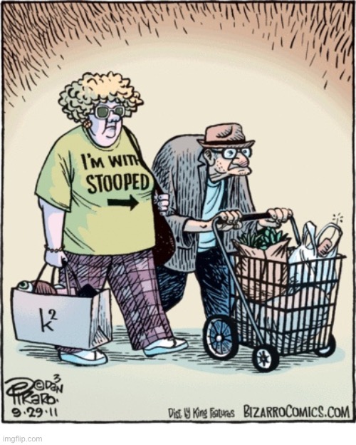 image tagged in comics,bizarro comics,elderly couple,stooped | made w/ Imgflip meme maker