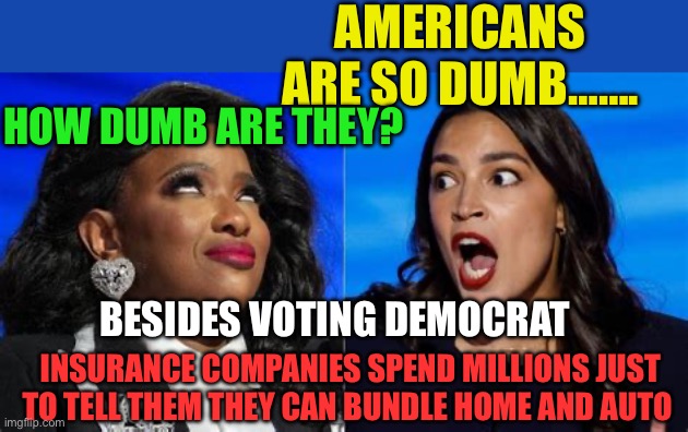 Proof is all around | AMERICANS ARE SO DUMB……. HOW DUMB ARE THEY? BESIDES VOTING DEMOCRAT; INSURANCE COMPANIES SPEND MILLIONS JUST TO TELL THEM THEY CAN BUNDLE HOME AND AUTO | image tagged in jasmine and aoc,democrats,insurance,dumb,clueless | made w/ Imgflip meme maker