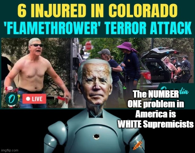 Oooops | The NUMBER ONE problem in America is WHITE Supremicists | image tagged in biden white supremicists meme | made w/ Imgflip meme maker