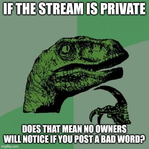 /j | IF THE STREAM IS PRIVATE; DOES THAT MEAN NO OWNERS WILL NOTICE IF YOU POST A BAD WORD? | image tagged in memes,philosoraptor | made w/ Imgflip meme maker