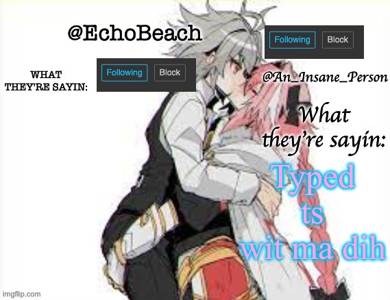 EchoBeach and InsanePerson shared temp :3 | Typed ts wit ma dih | image tagged in echobeach and insaneperson shared temp 3 | made w/ Imgflip meme maker