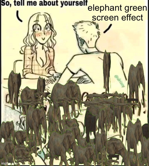 tell me about yourself better | elephant green screen effect | image tagged in tell me about yourself better | made w/ Imgflip meme maker