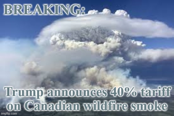 So much winning! | BREAKING:; Trump announces 40% tariff on Canadian wildfire smoke | image tagged in wildfires smoke,tariffs,trump,idiocracy | made w/ Imgflip meme maker