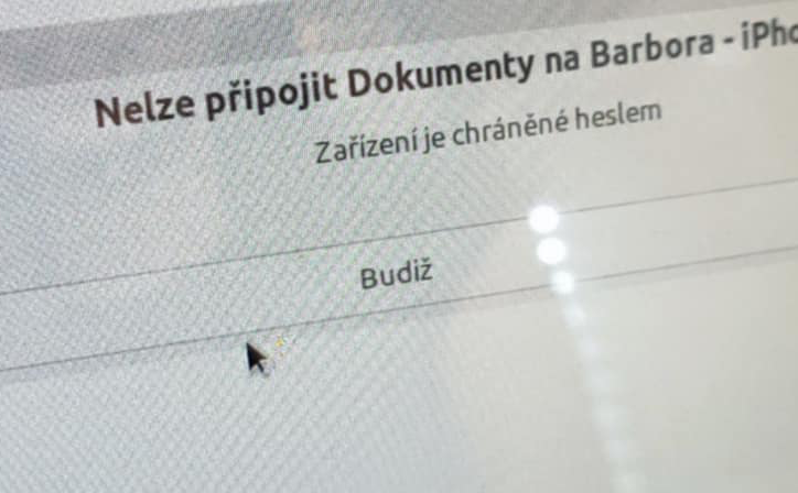 Adéla Halouzková Blank Meme Template