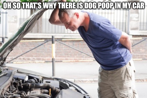 looking under the hood | OH SO THAT'S WHY THERE IS DOG POOP IN MY CAR | image tagged in looking under the hood | made w/ Imgflip meme maker
