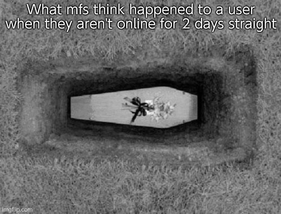 Remember when you guys thought I had a stroke | What mfs think happened to a user when they aren't online for 2 days straight | image tagged in coffin | made w/ Imgflip meme maker