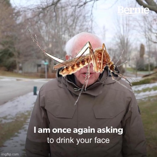 Bernie I Am Once Again Asking For Your Support Meme | to drink your face | image tagged in memes,bernie i am once again asking for your support,bugs | made w/ Imgflip meme maker