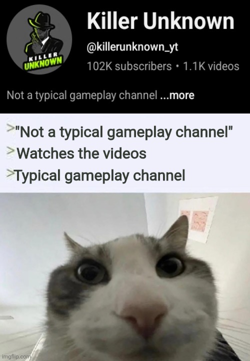 Cat looks inside | "Not a typical gameplay channel"; Watches the videos; Typical gameplay channel | image tagged in cat looks inside | made w/ Imgflip meme maker
