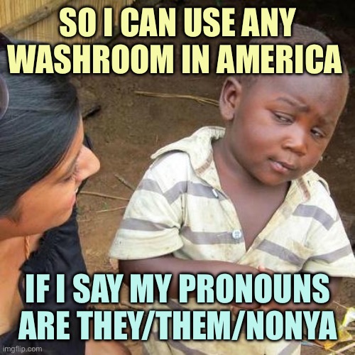 Third World Skeptical Kid | SO I CAN USE ANY WASHROOM IN AMERICA; IF I SAY MY PRONOUNS ARE THEY/THEM/NONYA | image tagged in memes,third world skeptical kid | made w/ Imgflip meme maker