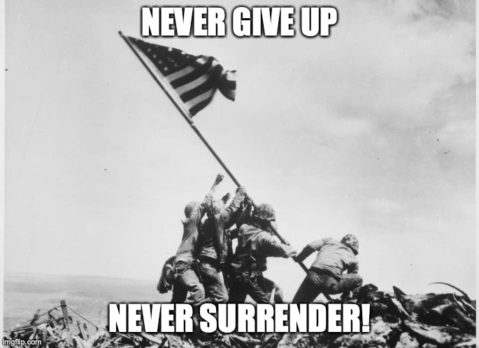 Never Surrender | NEVER GIVE UP NEVER SURRENDER! | image tagged in never surrender | made w/ Imgflip meme maker
