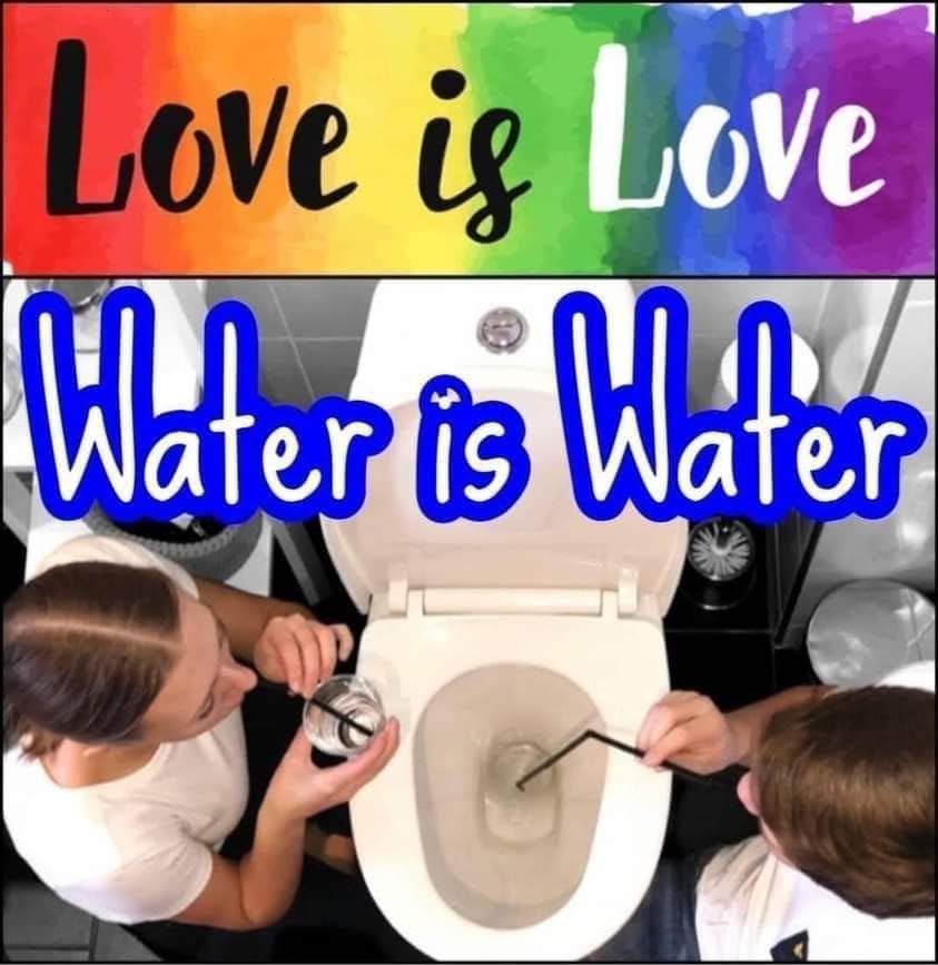Straws in Toilet Blank Meme Template