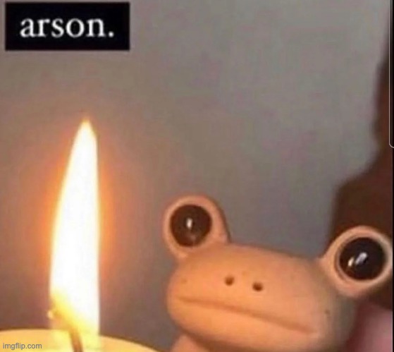 arson frog | image tagged in arson frog | made w/ Imgflip meme maker