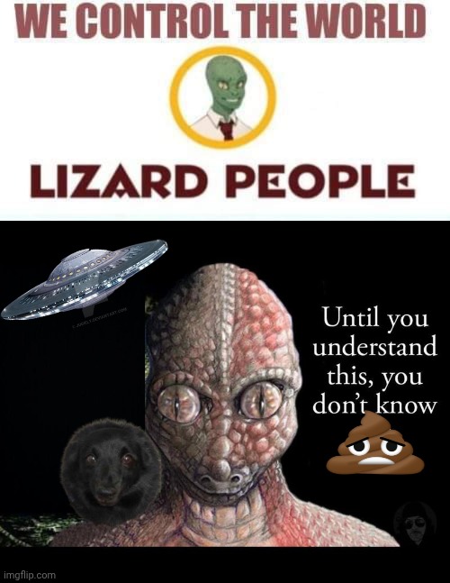 Reptillions control the world | image tagged in lizard people control the world reptillions,shapeshifting lizard | made w/ Imgflip meme maker