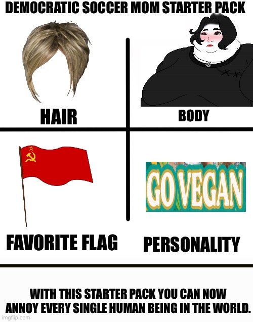 Blank Starter Pack | DEMOCRATIC SOCCER MOM STARTER PACK; HAIR; BODY; FAVORITE FLAG; PERSONALITY; WITH THIS STARTER PACK YOU CAN NOW ANNOY EVERY SINGLE HUMAN BEING IN THE WORLD. | image tagged in memes,blank starter pack | made w/ Imgflip meme maker