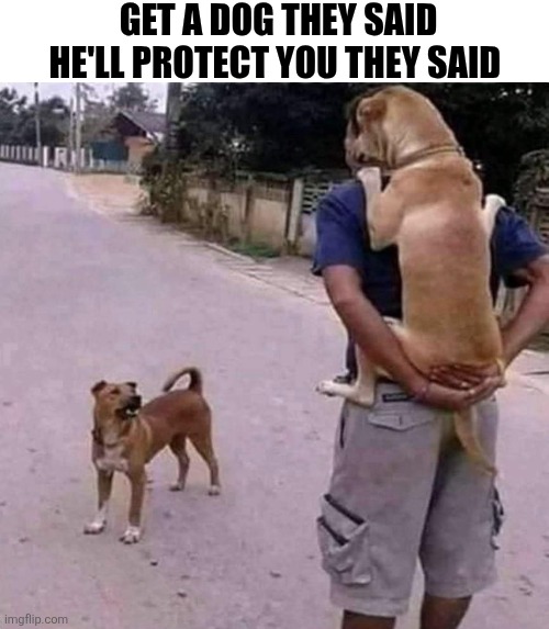 Get A Dog They Said He'll Protect You They Said | GET A DOG THEY SAID HE'LL PROTECT YOU THEY SAID | image tagged in chrisjoines1 | made w/ Imgflip meme maker