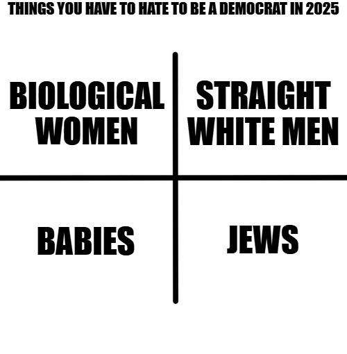 They also hate nuclear families, MAGA, alpha males, white people, and children. | THINGS YOU HAVE TO HATE TO BE A DEMOCRAT IN 2025; STRAIGHT WHITE MEN; BIOLOGICAL WOMEN; BABIES; JEWS | image tagged in memes,blank starter pack,democrats,hatred | made w/ Imgflip meme maker