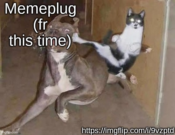 get rekt (announcement version) | Memeplug (fr this time); https://imgflip.com/i/9vzptd | image tagged in get rekt announcement version | made w/ Imgflip meme maker