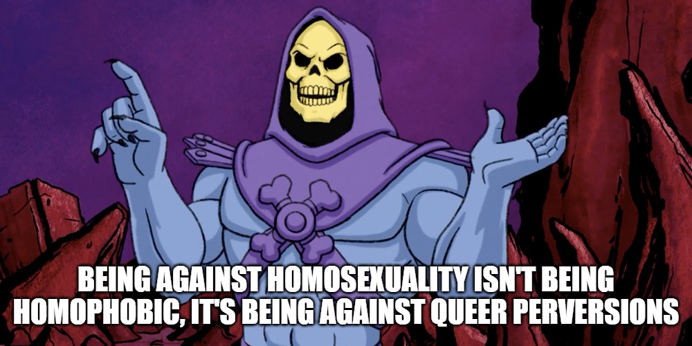 It's the same as adultery, s3x before marriage and multiple s3x partners in God's eyes. | BEING AGAINST HOMOSEXUALITY ISN'T BEING HOMOPHOBIC, IT'S BEING AGAINST QUEER PERVERSIONS | image tagged in skeletor making a point,homosexuality,queer,perversions | made w/ Imgflip meme maker