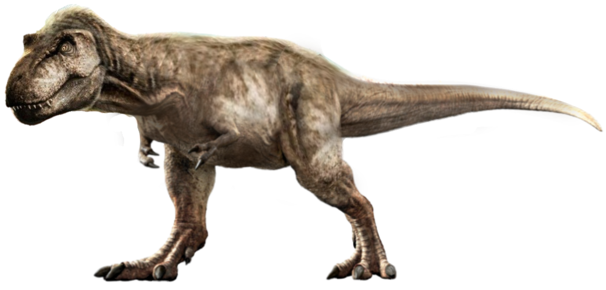 Feathered Tyrannosaurus Rex 3 (JWD Design) Blank Meme Template