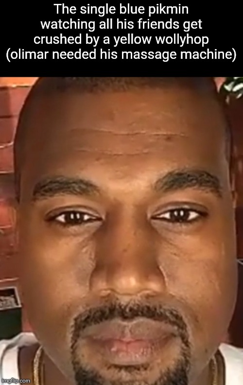 Kanye West Stare | The single blue pikmin watching all his friends get crushed by a yellow wollyhop (olimar needed his massage machine) | image tagged in kanye west stare | made w/ Imgflip meme maker