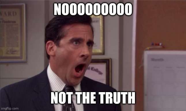 noooooo | NOOOOOOOOO NOT THE TRUTH | image tagged in noooooo | made w/ Imgflip meme maker