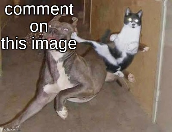 get rekt (announcement version) | comment on this image; If you're a hot oily busty femboy then | image tagged in get rekt announcement version | made w/ Imgflip meme maker