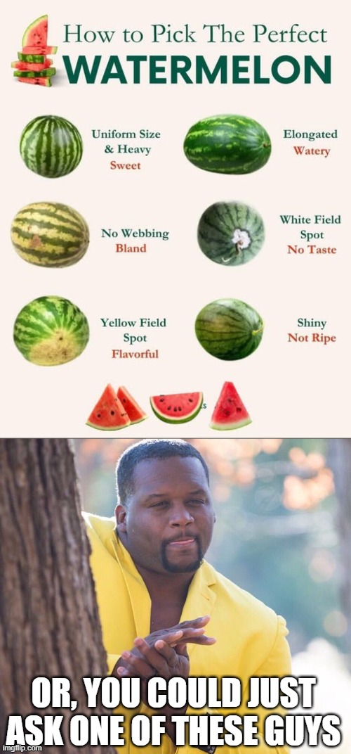 Watermelon Stereotype | OR, YOU COULD JUST ASK ONE OF THESE GUYS | image tagged in black guy hiding behind tree | made w/ Imgflip meme maker