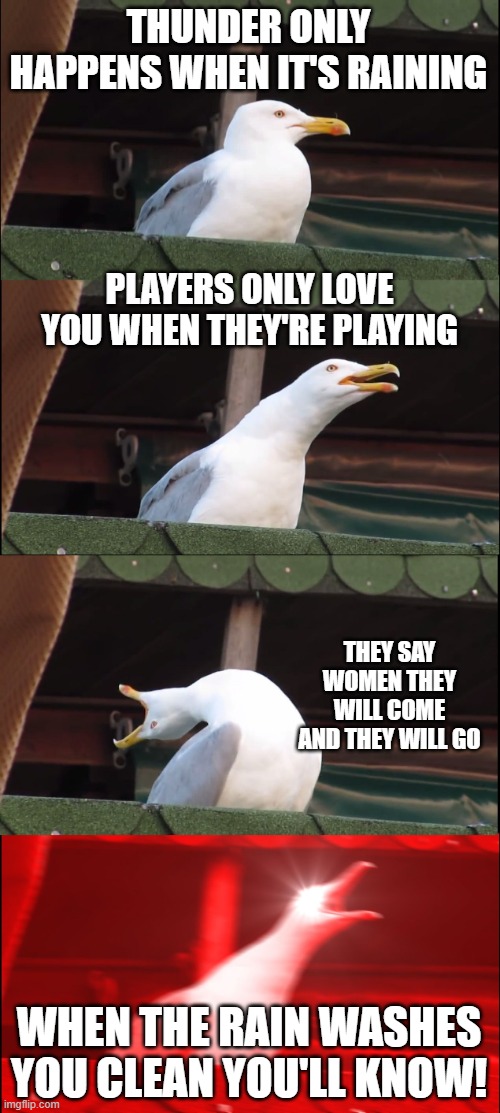 Dreams | THUNDER ONLY HAPPENS WHEN IT'S RAINING; PLAYERS ONLY LOVE YOU WHEN THEY'RE PLAYING; THEY SAY WOMEN THEY WILL COME AND THEY WILL GO; WHEN THE RAIN WASHES YOU CLEAN YOU'LL KNOW! | image tagged in memes,inhaling seagull | made w/ Imgflip meme maker