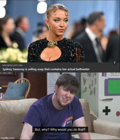 Sweeney soap | image tagged in but why why would you do that,sydney sweeney,soap,bath time | made w/ Imgflip meme maker