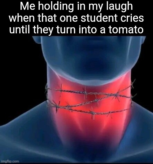 Pov: me holding back my laugh in class | Me holding in my laugh when that one student cries until they turn into a tomato | image tagged in pov me holding back my laugh in class | made w/ Imgflip meme maker