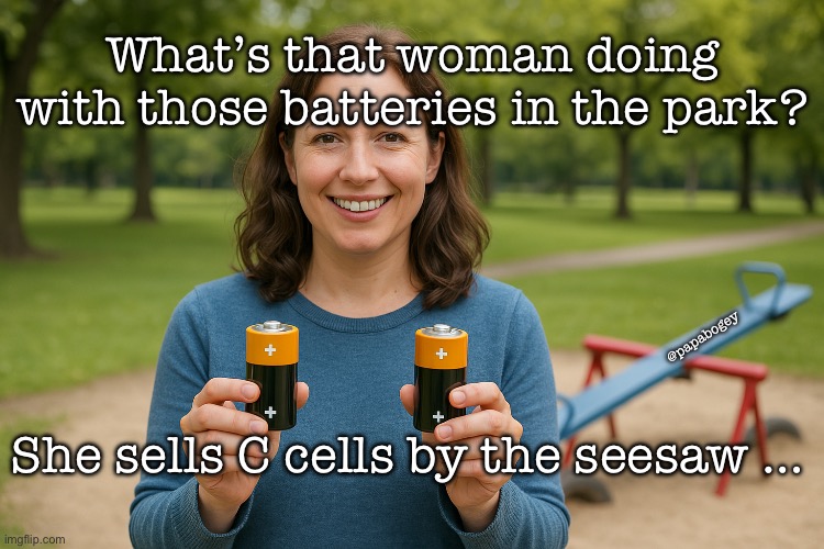 Woman selling batteries | What’s that woman doing with those batteries in the park? @papabogey; She sells C cells by the seesaw … | image tagged in woman batteries seesaw park | made w/ Imgflip meme maker