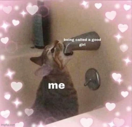 Good girl | image tagged in good girlfriend | made w/ Imgflip meme maker