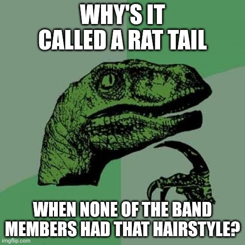 Ratts off to ya! | WHY'S IT CALLED A RAT TAIL; WHEN NONE OF THE BAND MEMBERS HAD THAT HAIRSTYLE? | image tagged in memes,philosoraptor | made w/ Imgflip meme maker