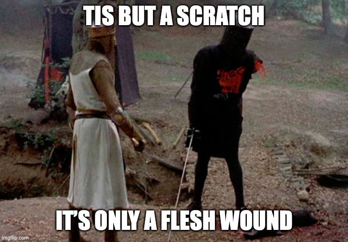 It's Only a Flesh Wound | TIS BUT A SCRATCH IT’S ONLY A FLESH WOUND | image tagged in it's only a flesh wound | made w/ Imgflip meme maker