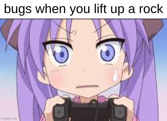 bugs when you lift up a rock | bugs when you lift up a rock | image tagged in bug,anime | made w/ Imgflip meme maker