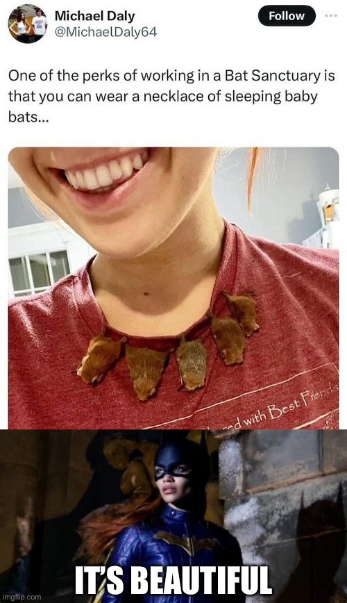 Bat Worker | IT’S BEAUTIFUL | image tagged in bat girl,batman | made w/ Imgflip meme maker