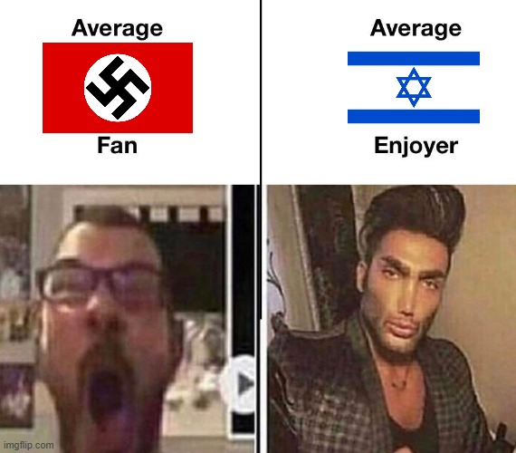 Average Fan vs. Average Enjoyer | image tagged in average fan vs average enjoyer | made w/ Imgflip meme maker