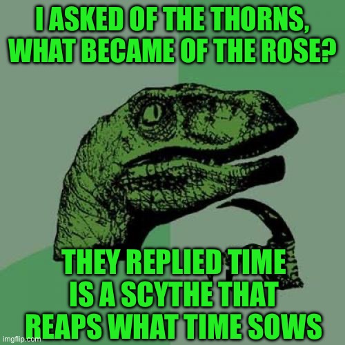 Philosoraptor | I ASKED OF THE THORNS, WHAT BECAME OF THE ROSE? THEY REPLIED TIME IS A SCYTHE THAT REAPS WHAT TIME SOWS | image tagged in memes,philosoraptor | made w/ Imgflip meme maker
