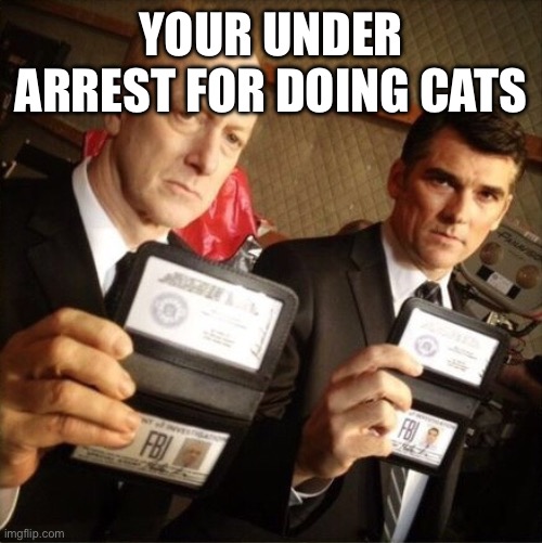 FBI | YOUR UNDER ARREST FOR DOING CATS | image tagged in fbi | made w/ Imgflip meme maker